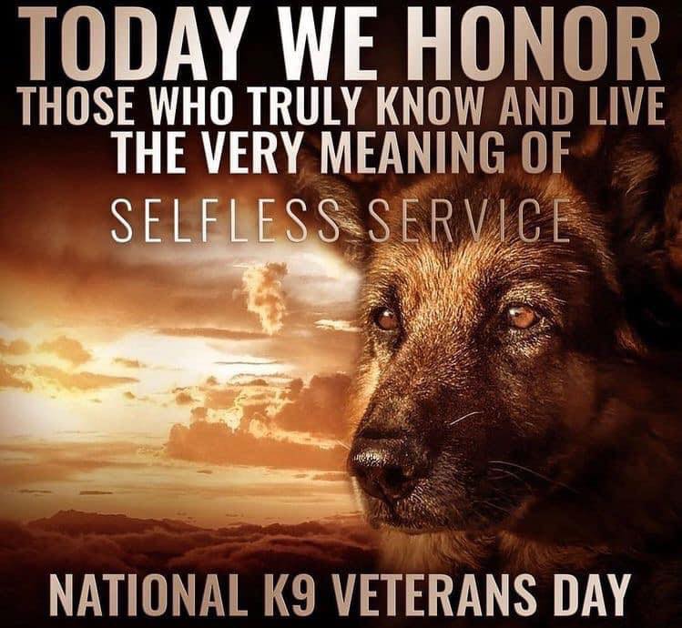 journee des veterans k9 01