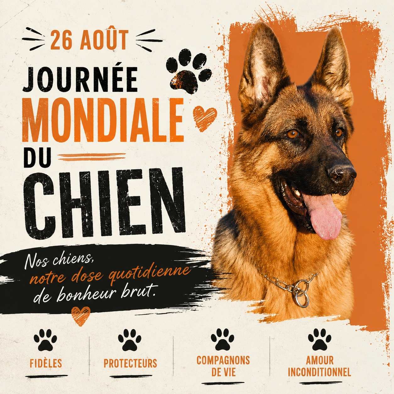 26 août : Journée mondiale du chien, une journée pour célébrer nos fidèles compagnons