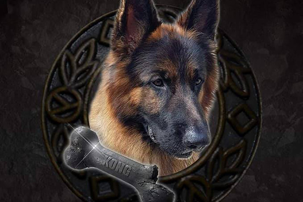 Justice pour Jagger!