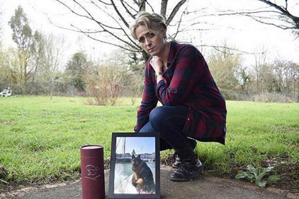 Justice pour Jagger le Berger Allemand abattu par balles