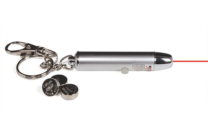 Jeu et syndrome du pointeur laser chez les chiens