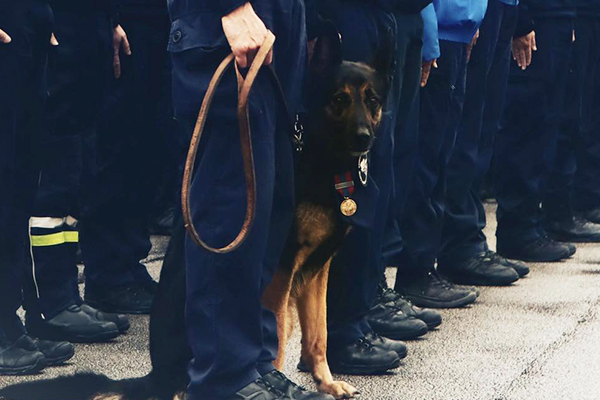 Médaille et retraite pour Malice