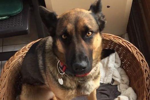 Signez la pétition Justice pour Mia !