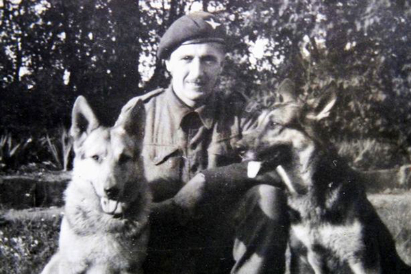 Chiens de guerre : les héros oubliés du 8 mai