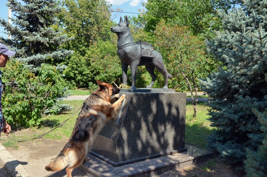 Monument dédié aux chiens anti-chars