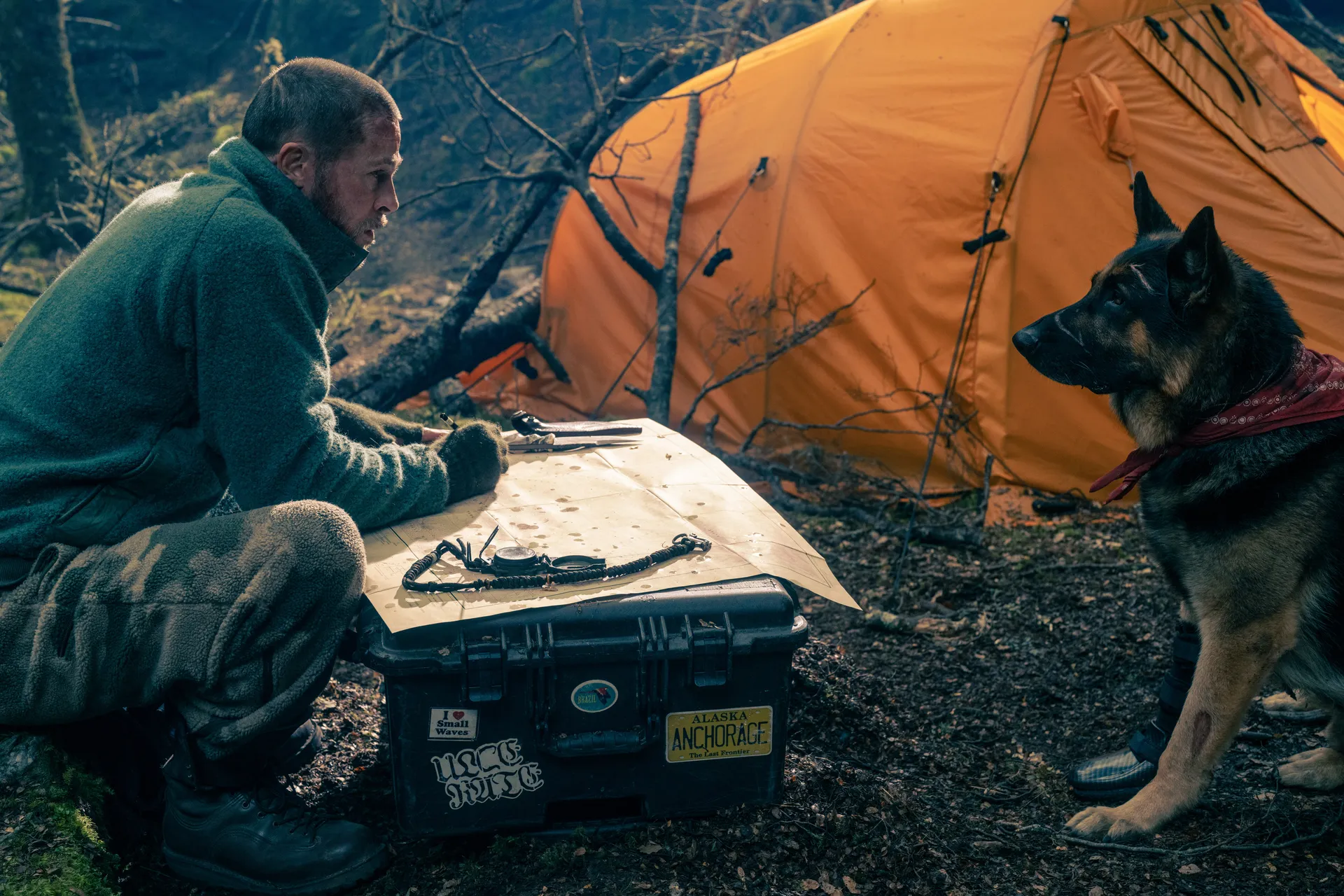 Heart of the Beast : Brad Pitt partage l’affiche avec un berger allemand dans un thriller de survie spectaculaire !