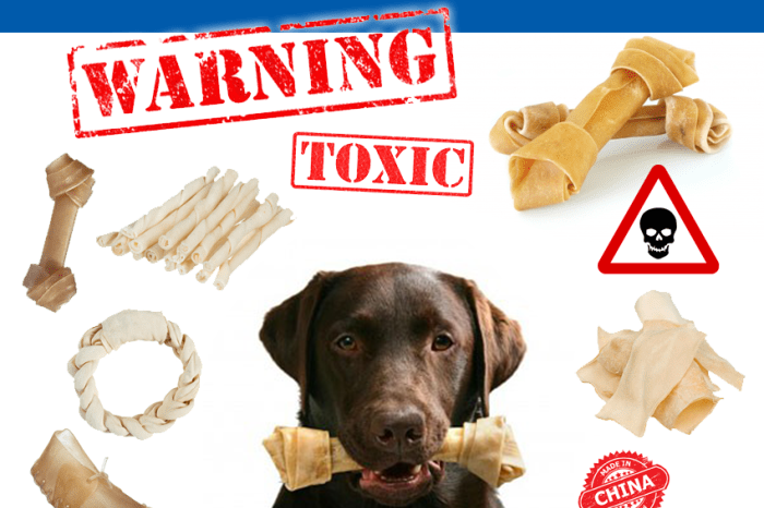 Les faux os à mâcher Danger!