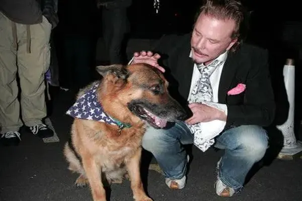 Oscar le berger allemand devenu l'ami des stars