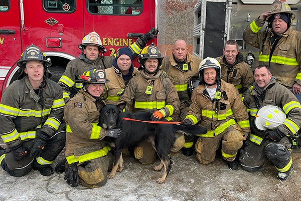Les pompiers sauvent un berger allemand d'une maison en feu.