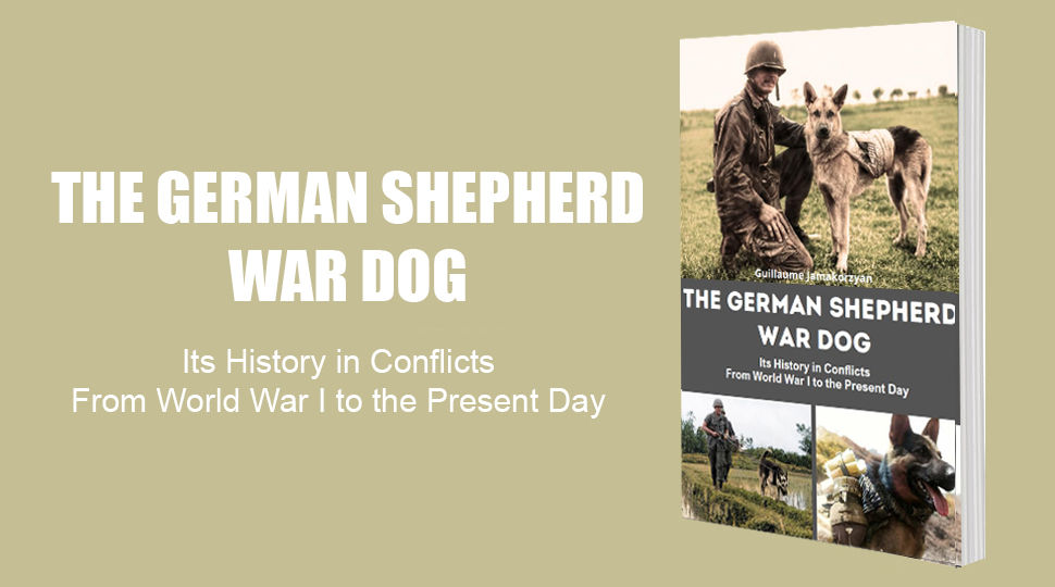 German Shepherd War Dog