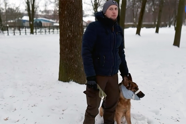 Blessé par une frappe, un chien militaire ukrainien sauvé par une mâchoire imprimée en 3D