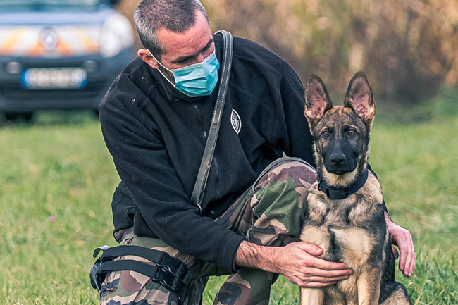 Raven la nouvelle recrue de la Gendarmerie de la Savoie