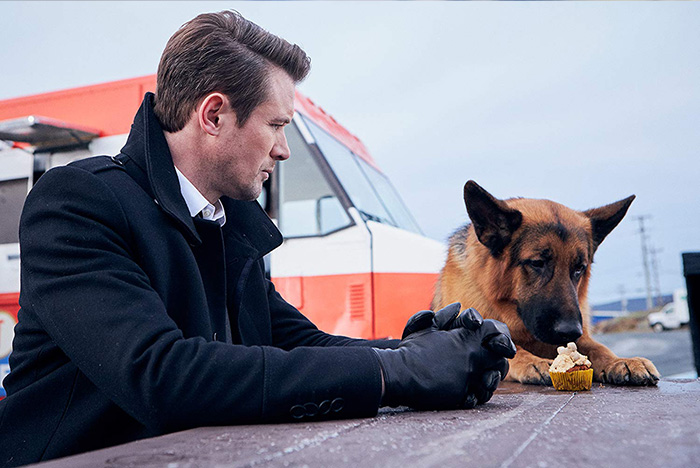 Rex bientôt de retour à la télévision Française 19ème saison