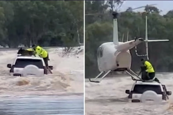 Un berger allemand sauvé des eaux par un policier héroïque