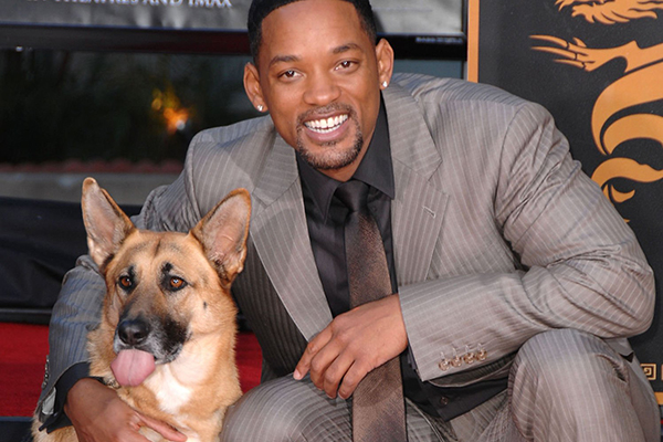 WILL SMITH ABBEY JE SUIS UNE LEGENDE