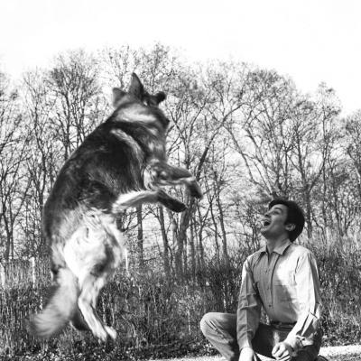 Alain Delon Berger Allemand 2