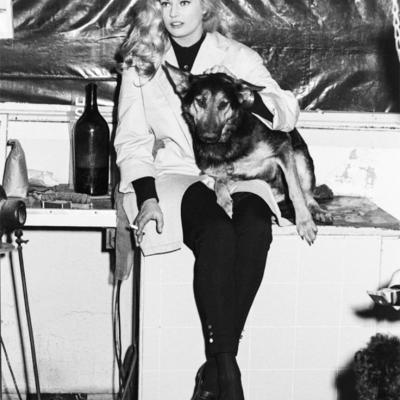 Anita Ekberg Berger Allemand