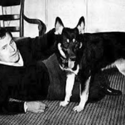 Bernard Fresson Berger Allemand