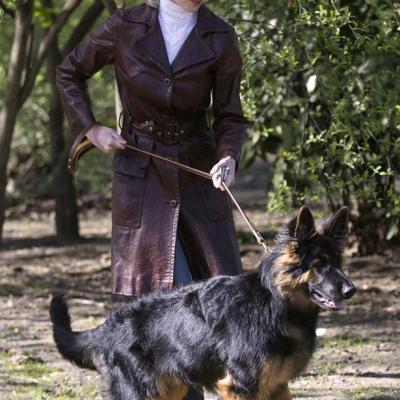 Claudia Schiffer German Shepherd 2