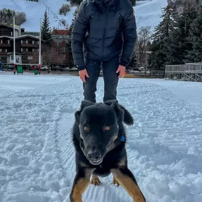 Dylan Efron Berger Allemand 2