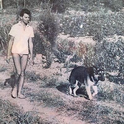 Gerard Philipe Berger Allemand