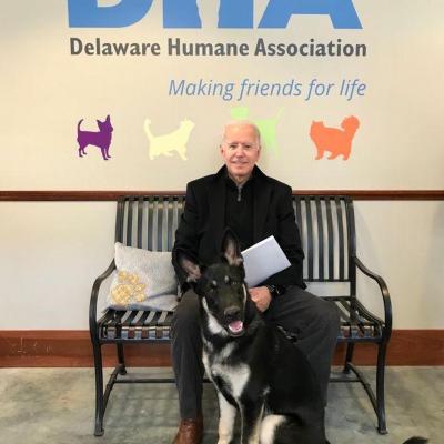 Joe Biden Berger Allemand