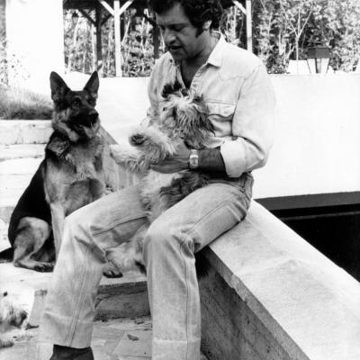 Joe Dassin Berger Allemand 2