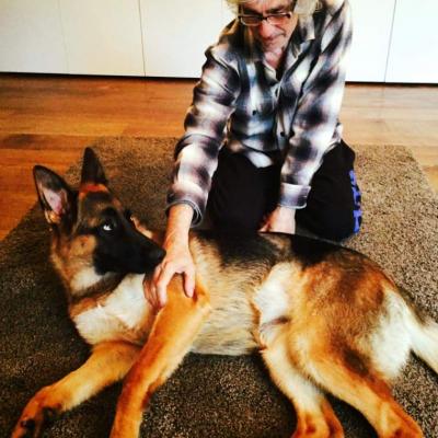 Louis Bertignac Berger Allemand