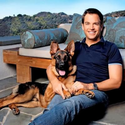 Michael Weatherly Berger Allemand