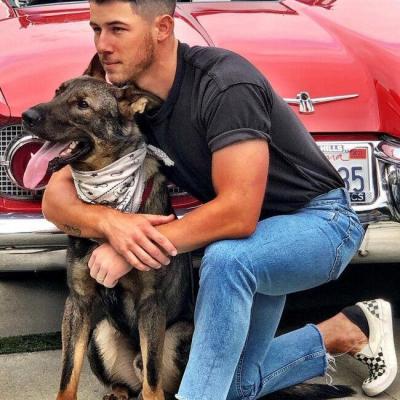 Nick Jonas Berger Allemand