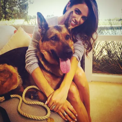 Nikki Reed Berger Allemand 02