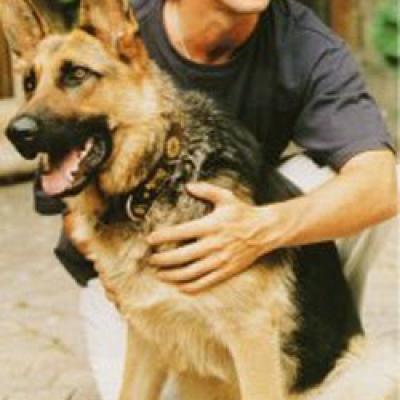 Patrick Bruel Berger Allemand