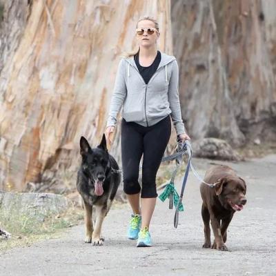 Reese Witherspoon Berger Allemand