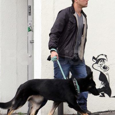 Ryan Phillippe Berger Allemand 01