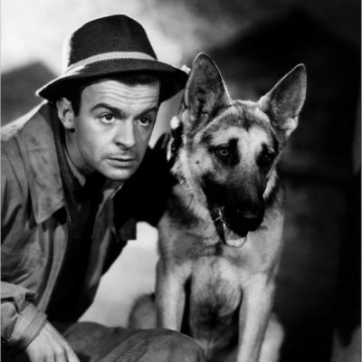 Serge Reggiani Berger Allemand 2