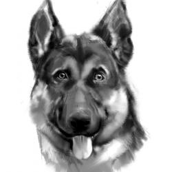 Artwork Berger Allemand 20