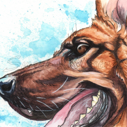 Artwork Berger Allemand 28a