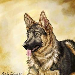 Artwork Berger Allemand 30