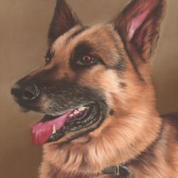 Artwork Berger Allemand 40