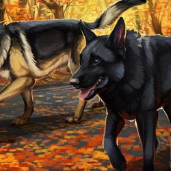 Artwork Berger Allemand 52