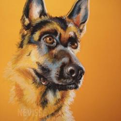 Artwork Berger Allemand 60