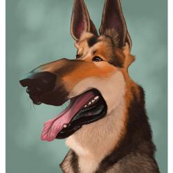 Artwork Berger Allemand 68