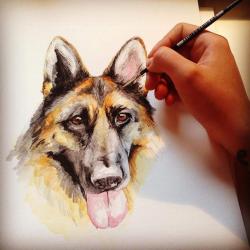 Artwork Berger Allemand 71