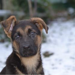 Ae55bf11648b432297cc6c42882851b3