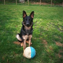 Img 20190418 101706 Resized 20190419 121617195