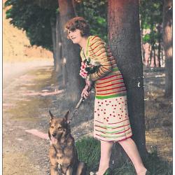 Carte Postale Berger Allemand 12