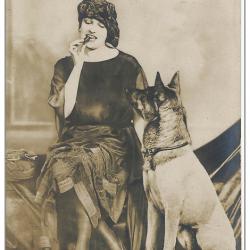 Carte Postale Berger Allemand 15