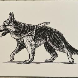 Carte Postale Berger Allemand 25