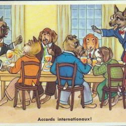 Carte Postale Berger Allemand 37