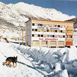 Carte Postale Berger Allemand 42